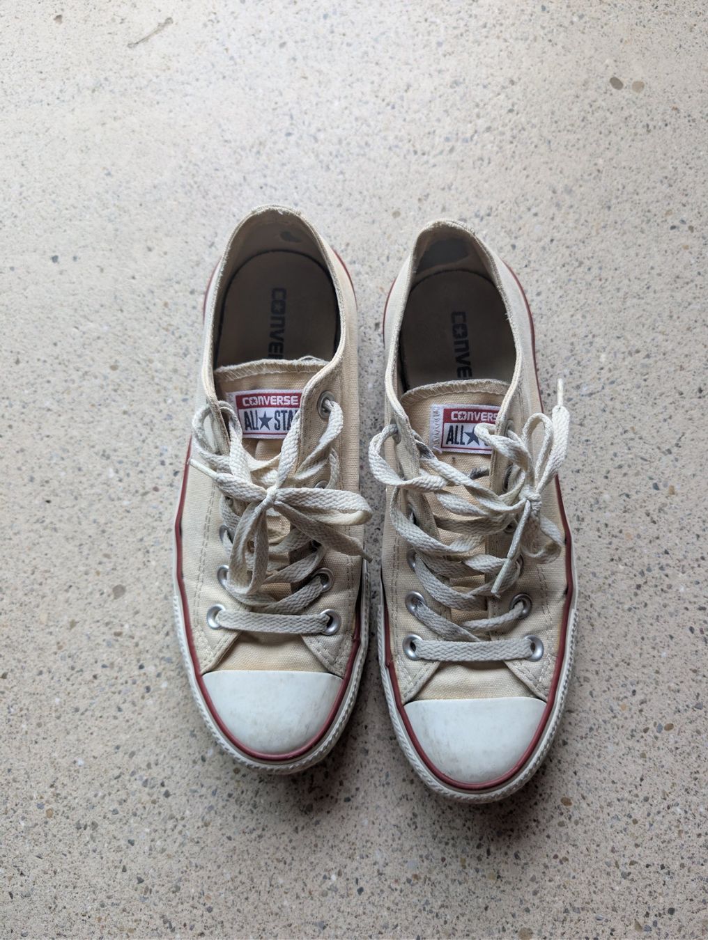 Converse Scarpe da donna: Converde All Star – Usato da Schlieren venduto da larapb