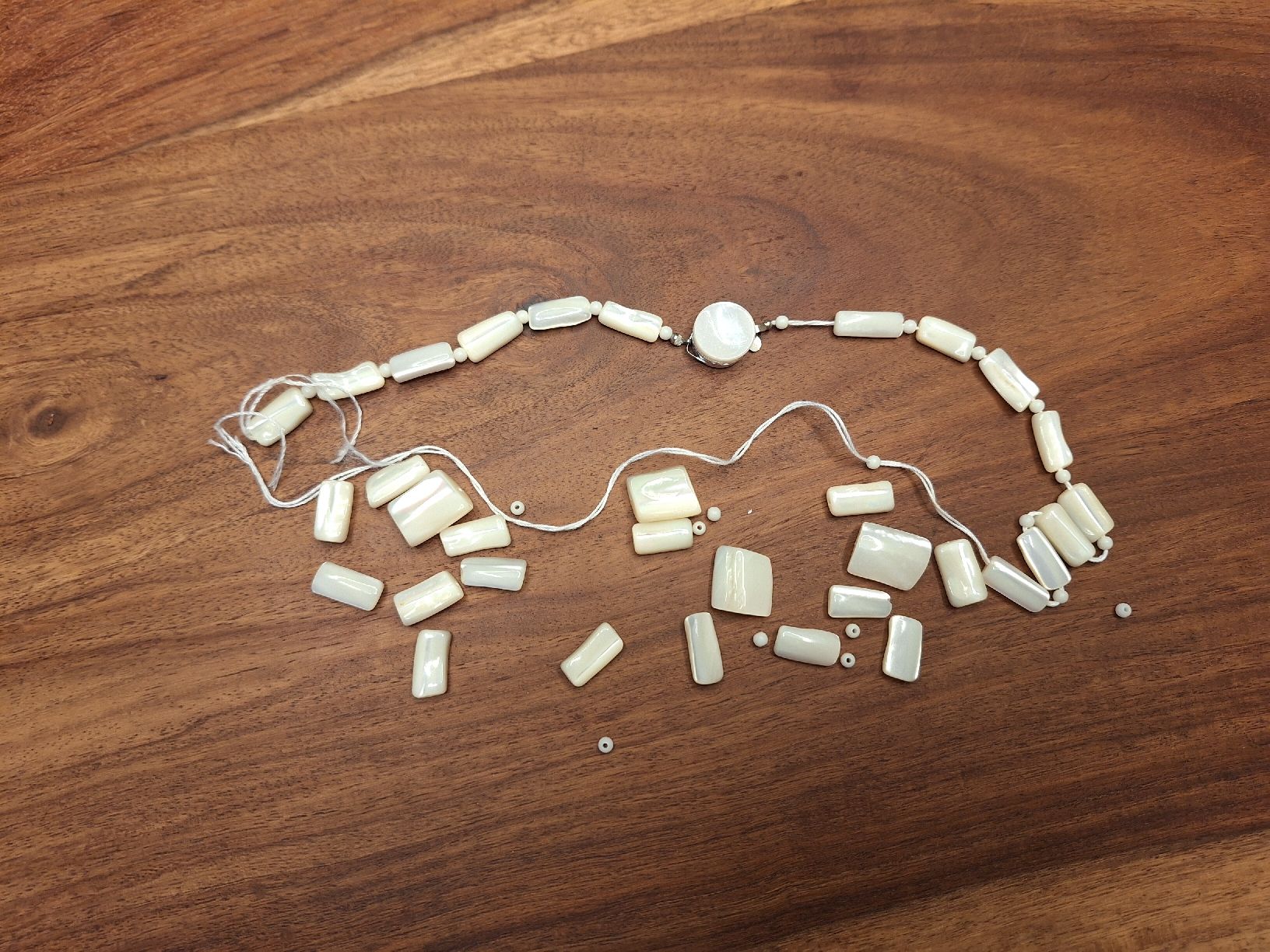 Ketten: Kette Muscheln – Gebraucht aus Oberrieden von smarties949