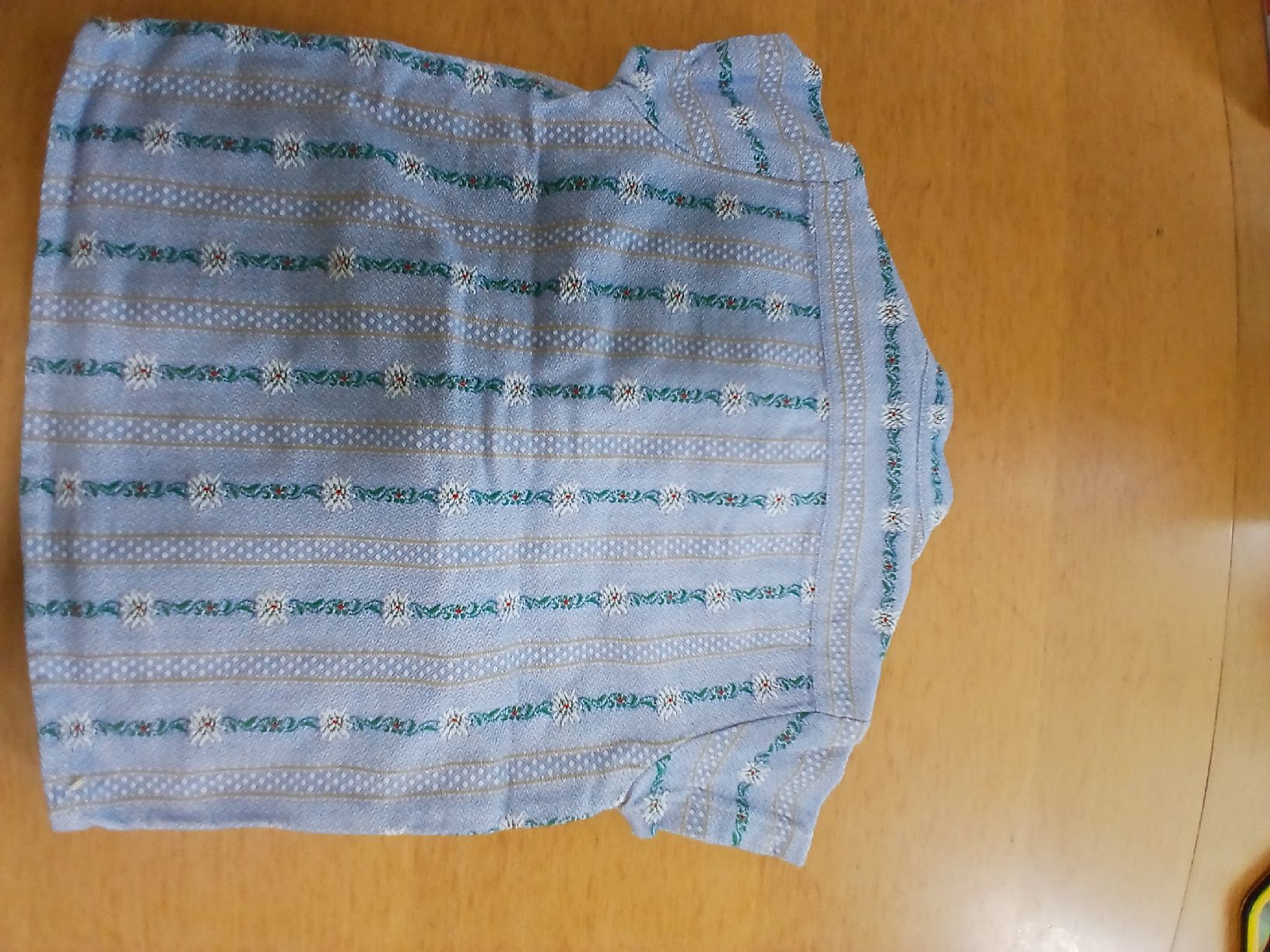 Blusen, T-Shirts & Tops: Edelweiss Gr.80 – Gebraucht aus Dussnang von Thomasvfr800 1