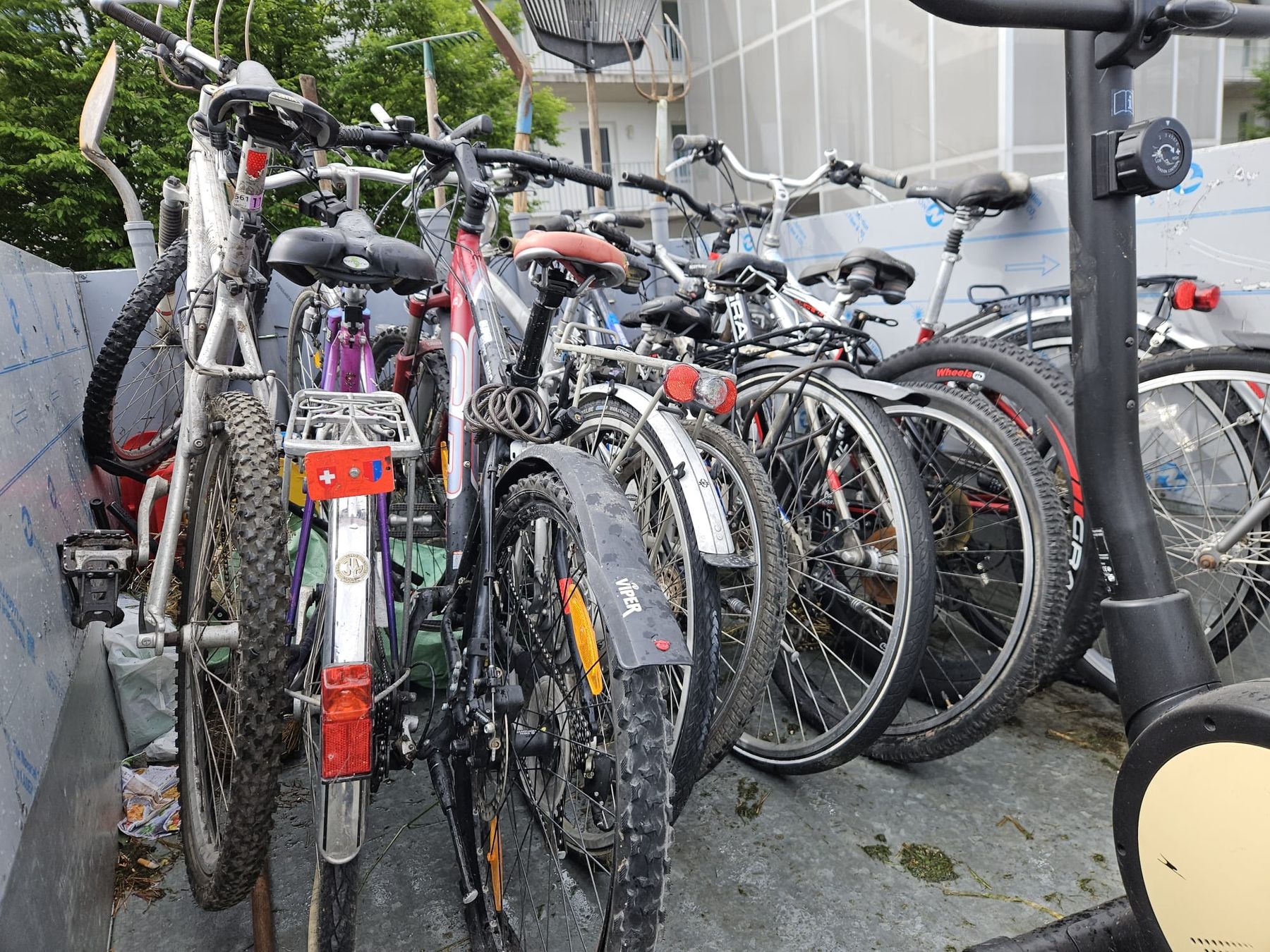 Biciclette: 11 Velos und 1 Hometrainer – Usato da Gunzgen venduto da Andreaspeter1981 1