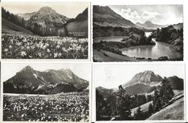 Moléson FR 4 AK Gruyéres ab 1925  sehr gut erhalten