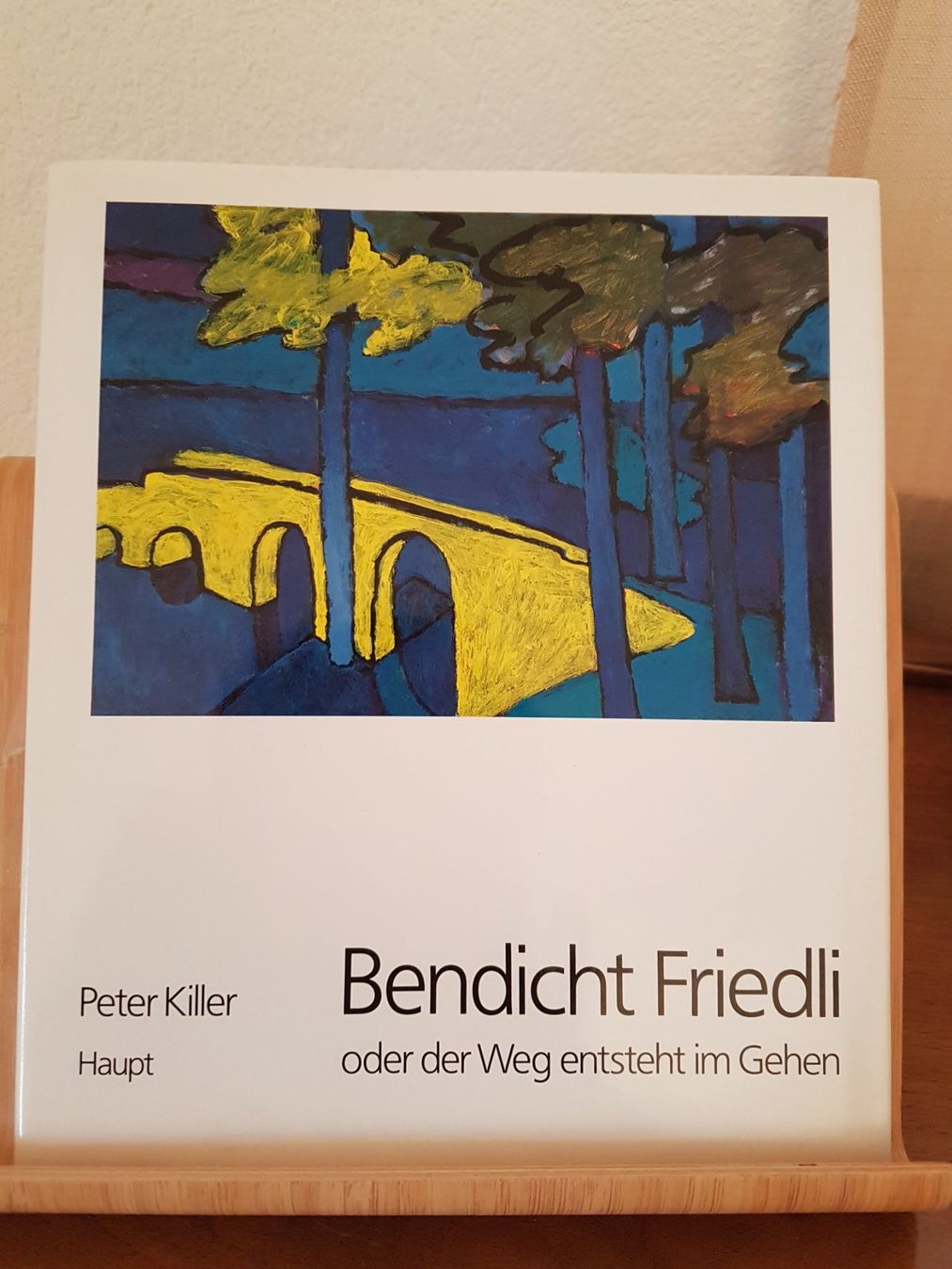 Libri: Benedicht Friedli – Usato da Wallisellen venduto da Swissline11