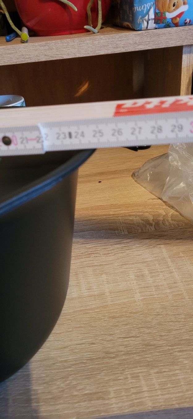 Tupperware Contenitori & Simili: Tupper Adretto 2,5 l . Kompostbehälter – Nuovo e nell'imballaggio originale da Schweizersholz venduto da fuchs06 7