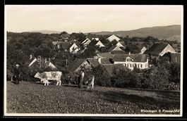 Weiningen b. Frauenfeld, Dorfansicht mit