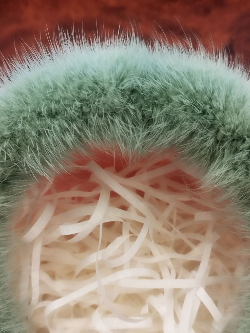 Accessori per capelli: Haarband Echte Mink Neu, – Nuovo e nell'imballaggio originale da Basel venduto da pro_79rs 3