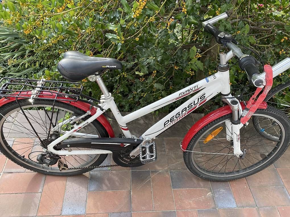 Velos: Velo Pegasus avanti Kind – Gebraucht aus Basel von 12Glory