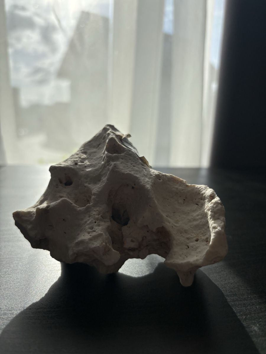 Minerali & Pietre curative: Aquarium Stein Deko  – Usato da Koblenz venduto da l-rocca 4