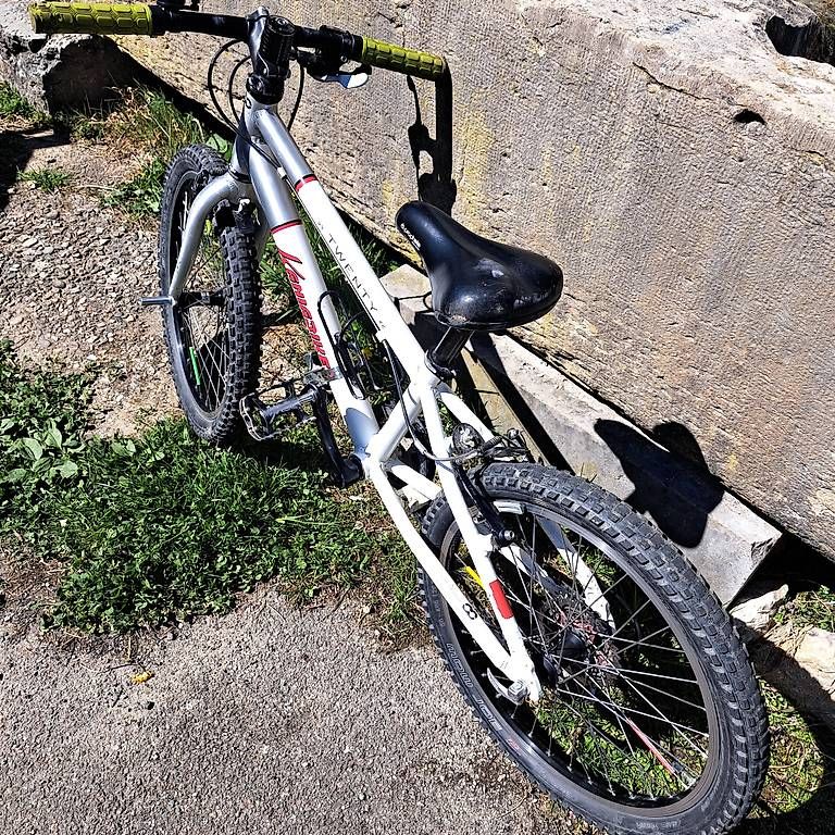 Biciclette: 20" Kania Twenty  Kinderfahrrad – Usato da Niederwil SO venduto da Eldinel 1