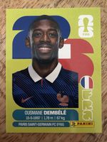 Panini FRA 15