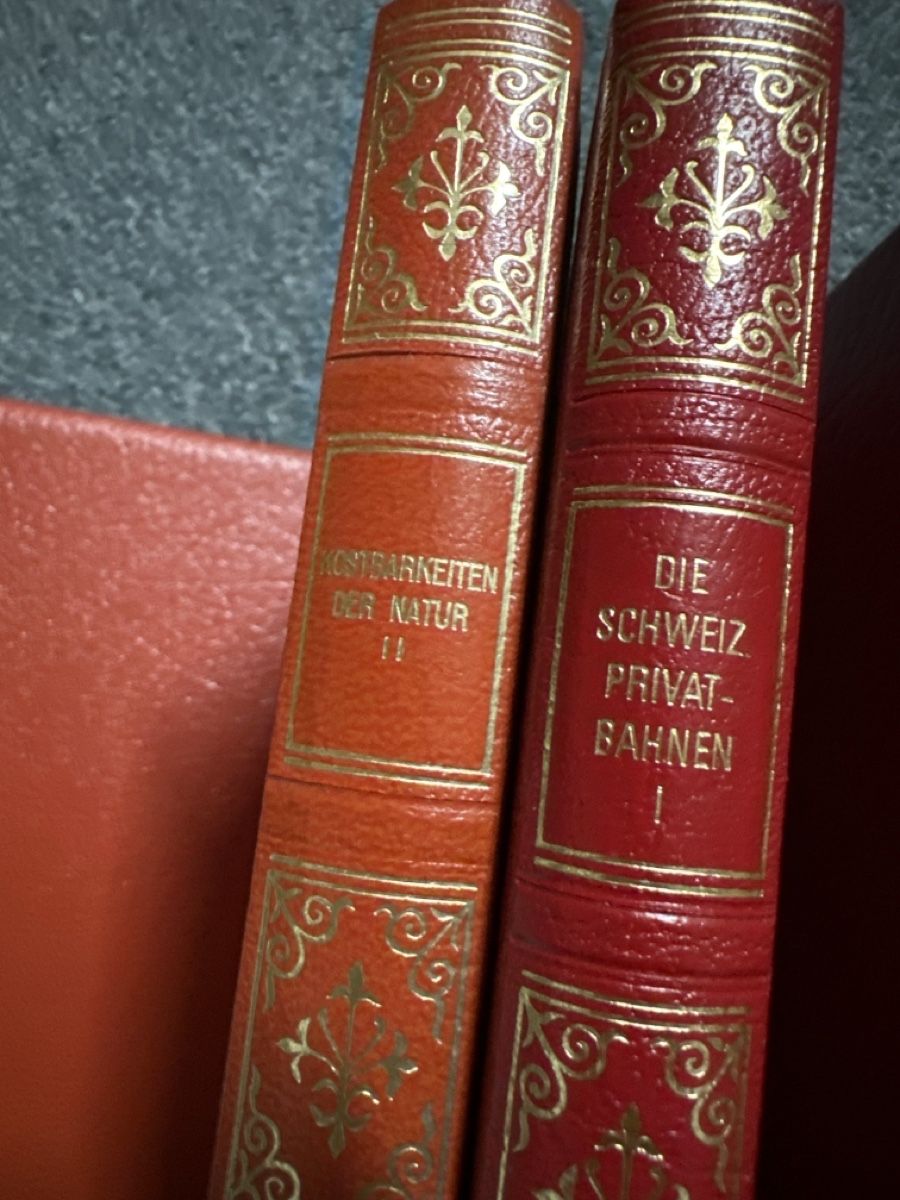 Libri: 9 Avantibücher  – Usato da Baltschieder venduto da YmroBe 3