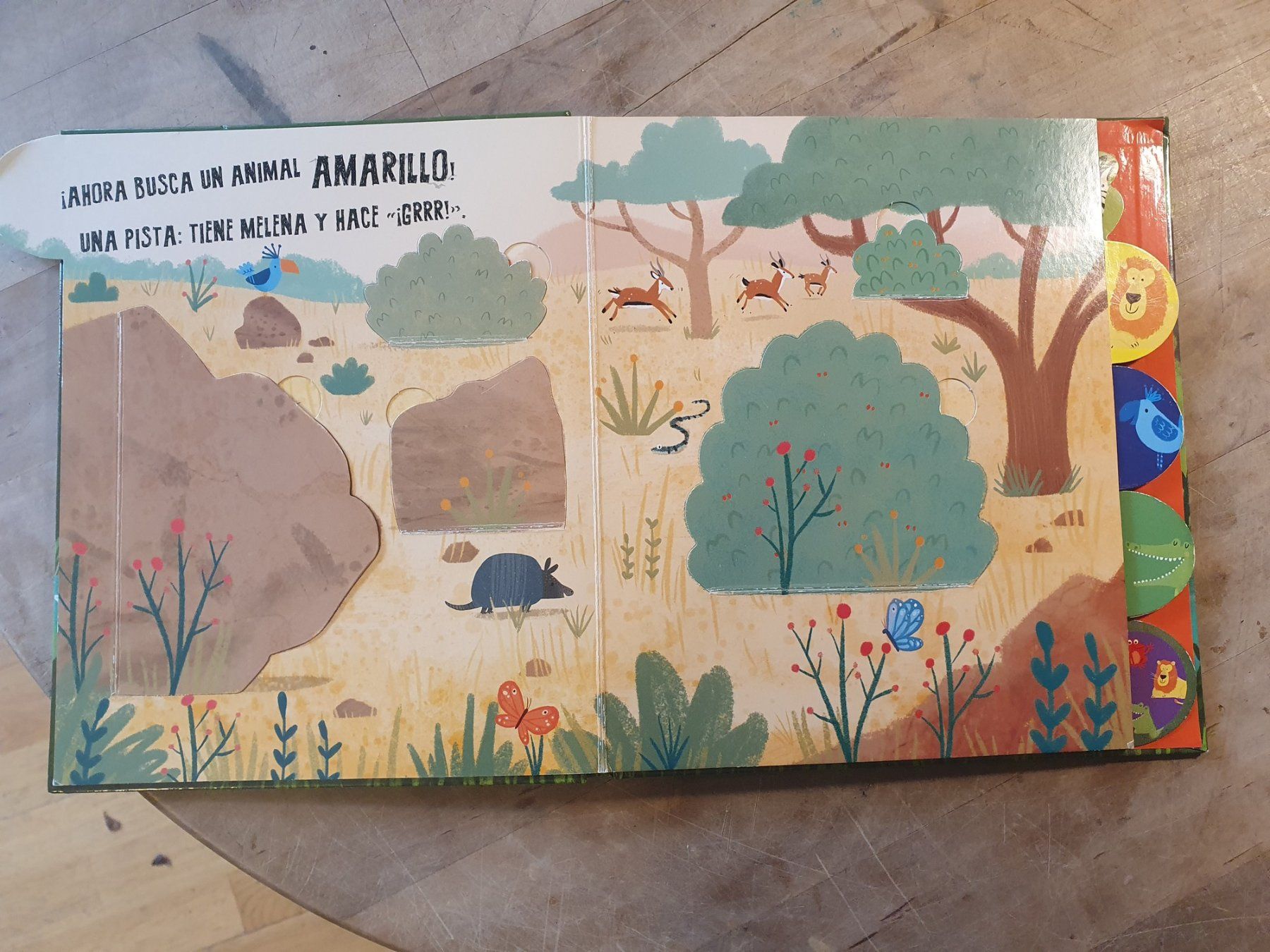 Livres: Asomate a la Selva - Spanisch – D'occasion à Zürich par loosebone 1