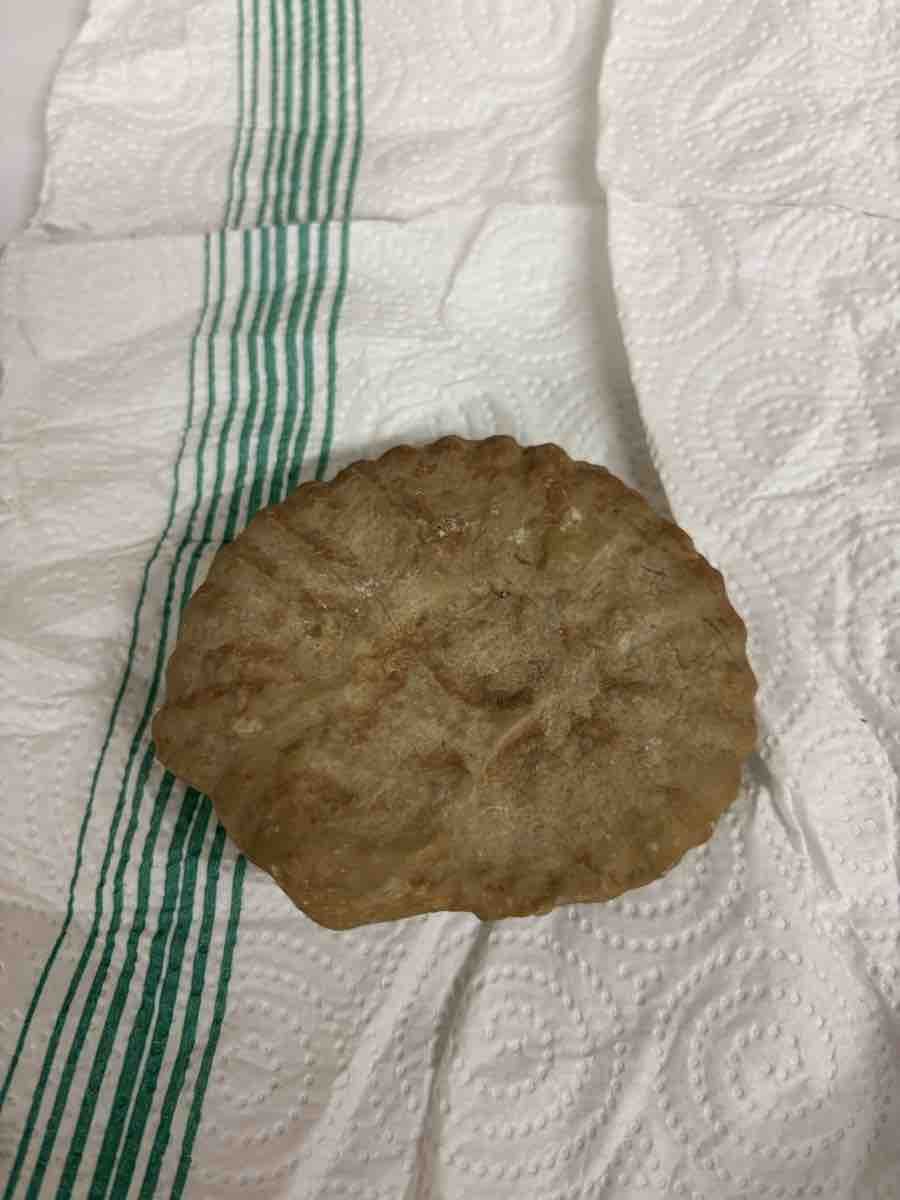 Fossilien: Fossile ammonite autentico 10 cm – Gebraucht aus Wallisellen von nick_1976blu 4