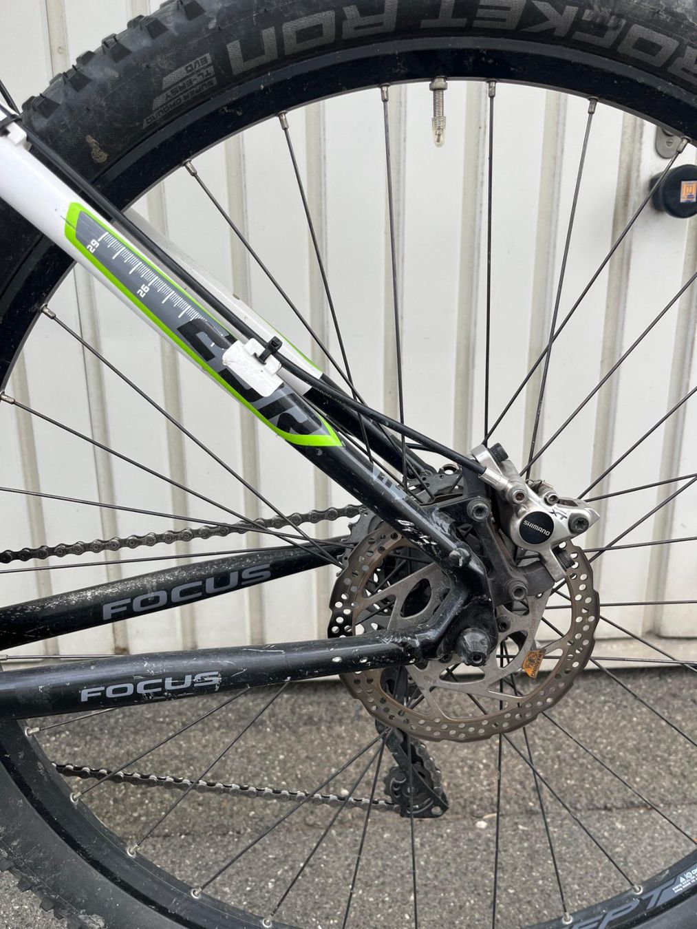 Focus Biciclette: Focus Black Forest 3.0 - 29" Mountainbike – Difettoso da Zug venduto da XWORMAP 1
