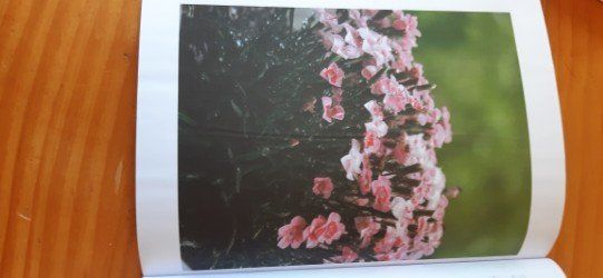 Schreibblöcke: Notizbuch "Floral" – Neu (gemäss Beschreibung) aus Doppleschwand von Sandrafritz 3