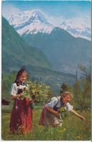 Berner Trachten bei Wilderswil, gelaufen 1987