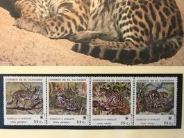 El Salvador 1988 Satz WWF Ozelot Kleinkatzen postfrisch