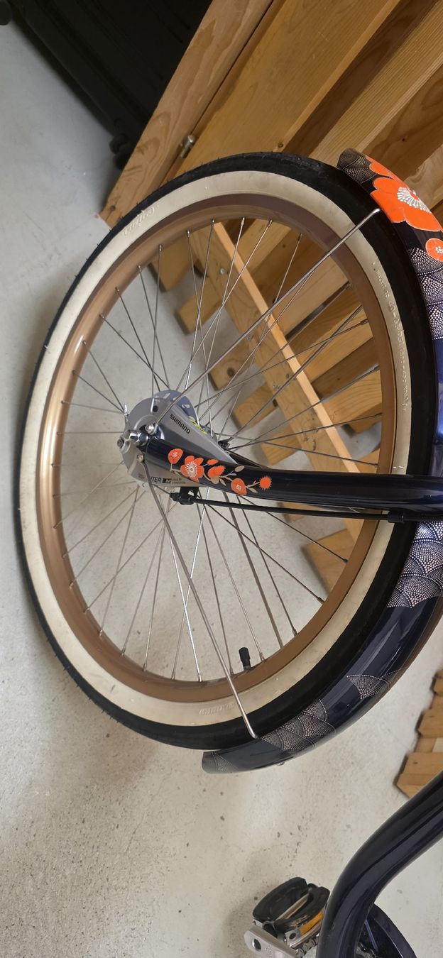 Vélos: Electra Beach Cruiser – D'occasion à Dallenwil par sur_7hrj 5
