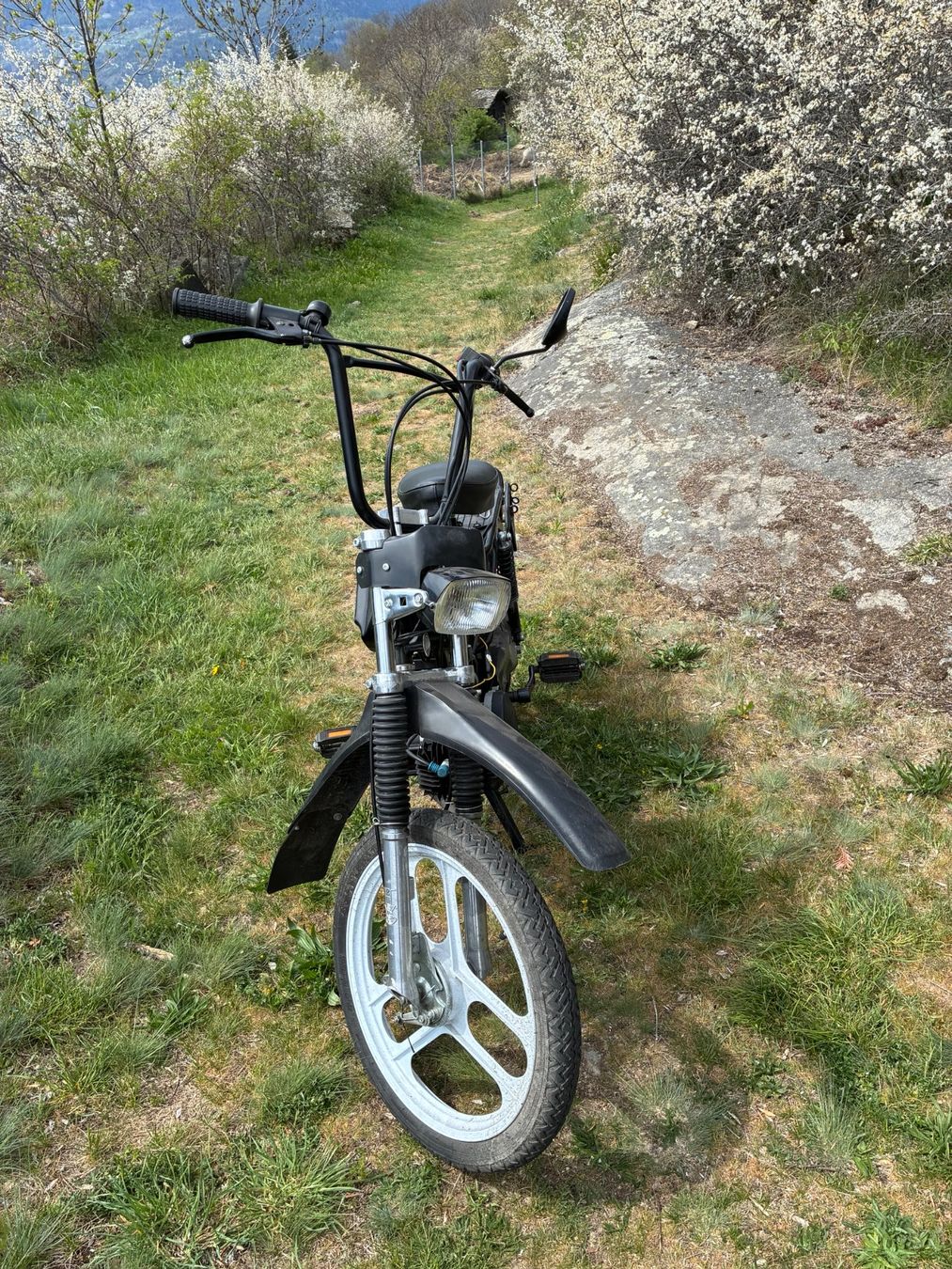 Pony Ciclomotori: Pony 521 cross – Usato da Mund venduto da anj_5dvm 3