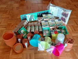 Grand lot de pots de culture