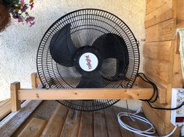 Grosser Industrie-Ventilator 220Volt