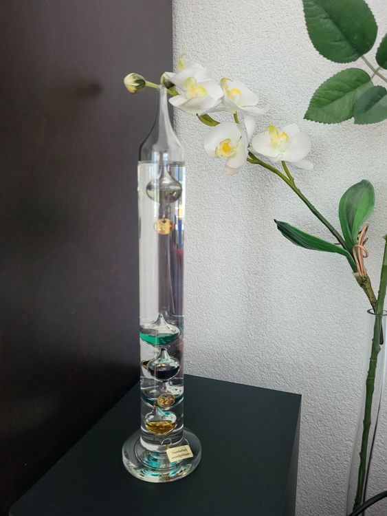 Thermometer-Spielzeug / Handkessel Aus Glas | Wissenschaftliches Spielzeug Zur Energieübertragung | Stressabbau & Deko | Ca. 16,5x5 Cm