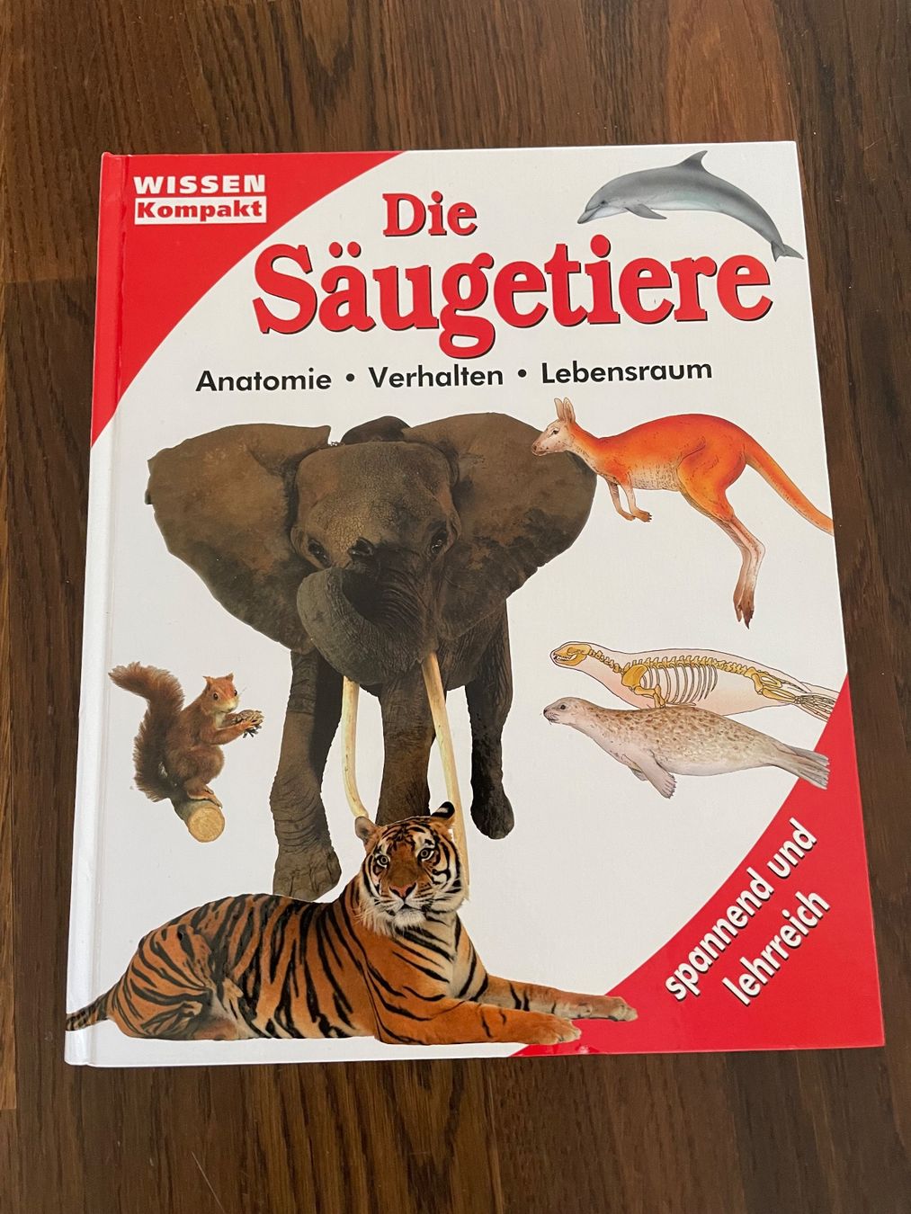 Libri: Wissen Kompakt: Die Säugetiere – Usato da Zürich venduto da Bopenyang98765