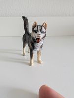 Schleich Husky Rüde