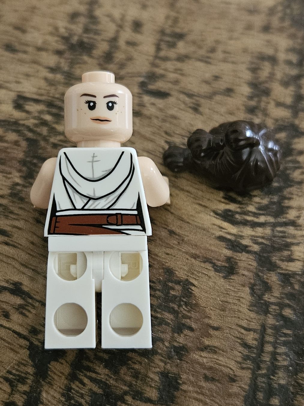 Lego Kit di costruzioni: lego star wars rey sw1054 – Nuovo (secondo la descrizione) da Confignon venduto da Ecrofigs 4