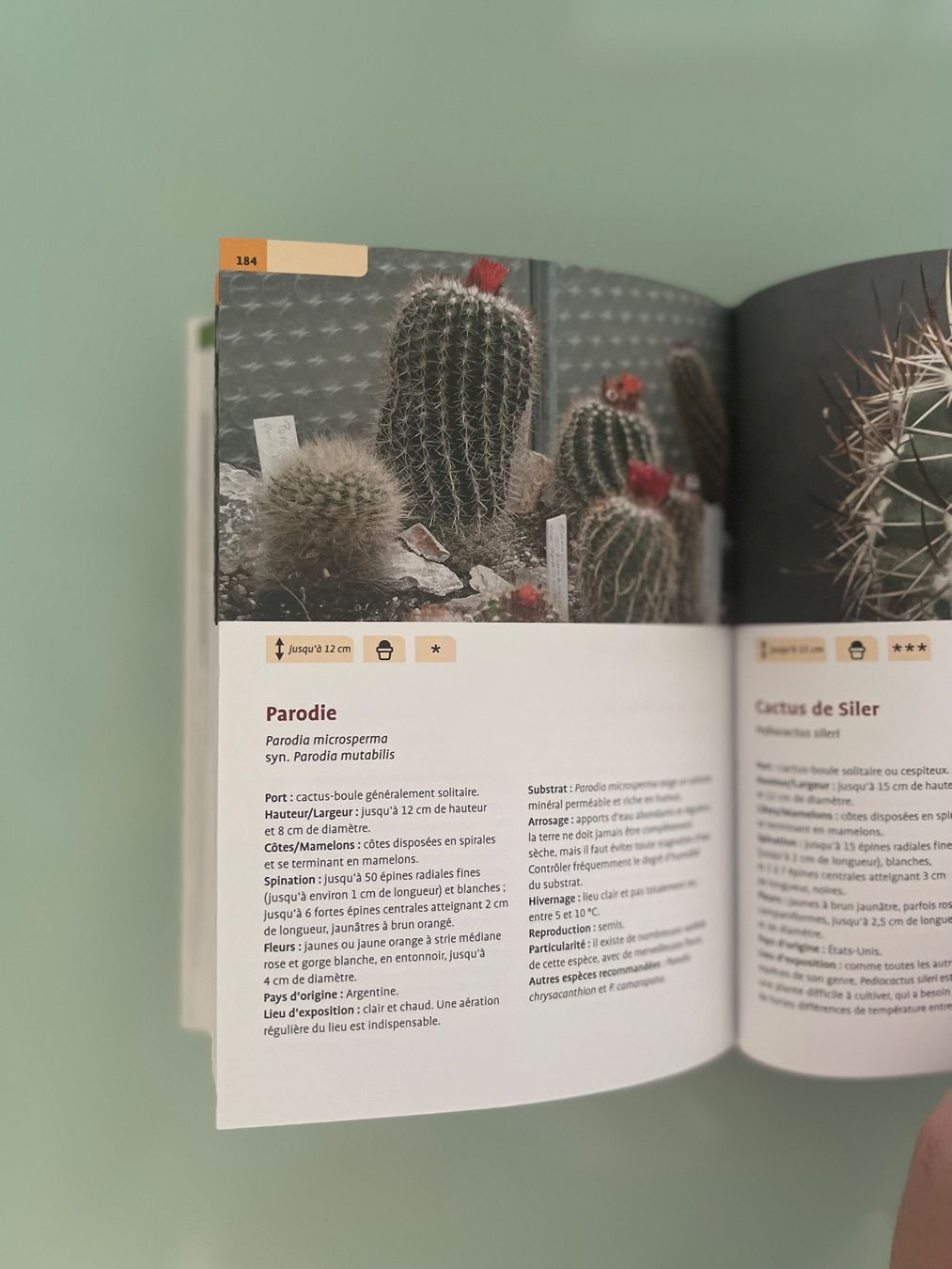Libri: Guide Delachaux Cactus – Usato da Renens VD venduto da ale_q6bz 1
