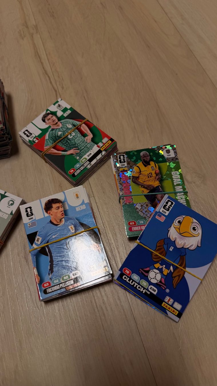 Panini Carte collezionabili: WM sammelkarten kollektion – Nuovo (secondo la descrizione) da Uznach venduto da lar_p97w 2