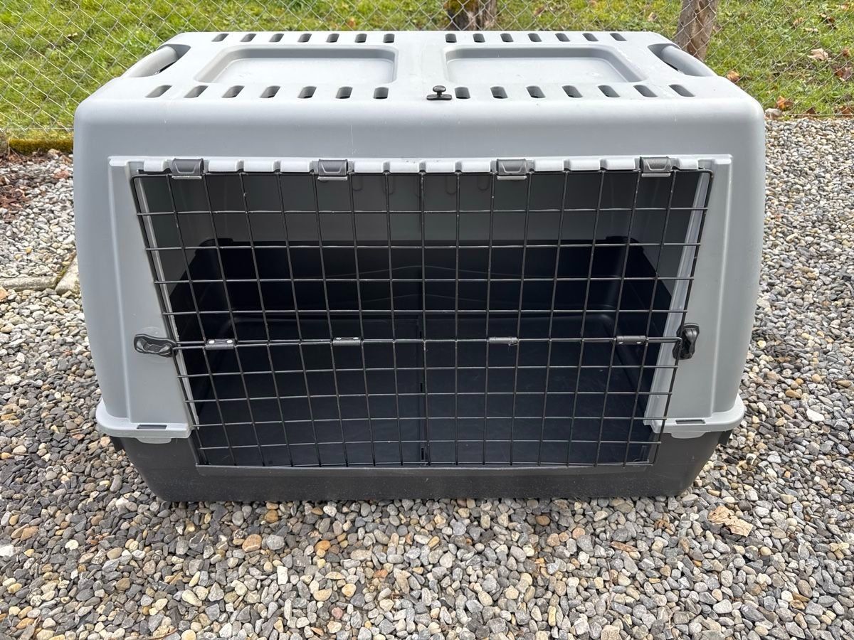 Gabbie, trasporto & Sicurezza: Grosse Hundebox – Usato da Walde AG venduto da 21mimi