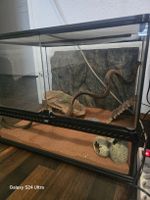 Terrarium mit Zubehoer guter Zustand