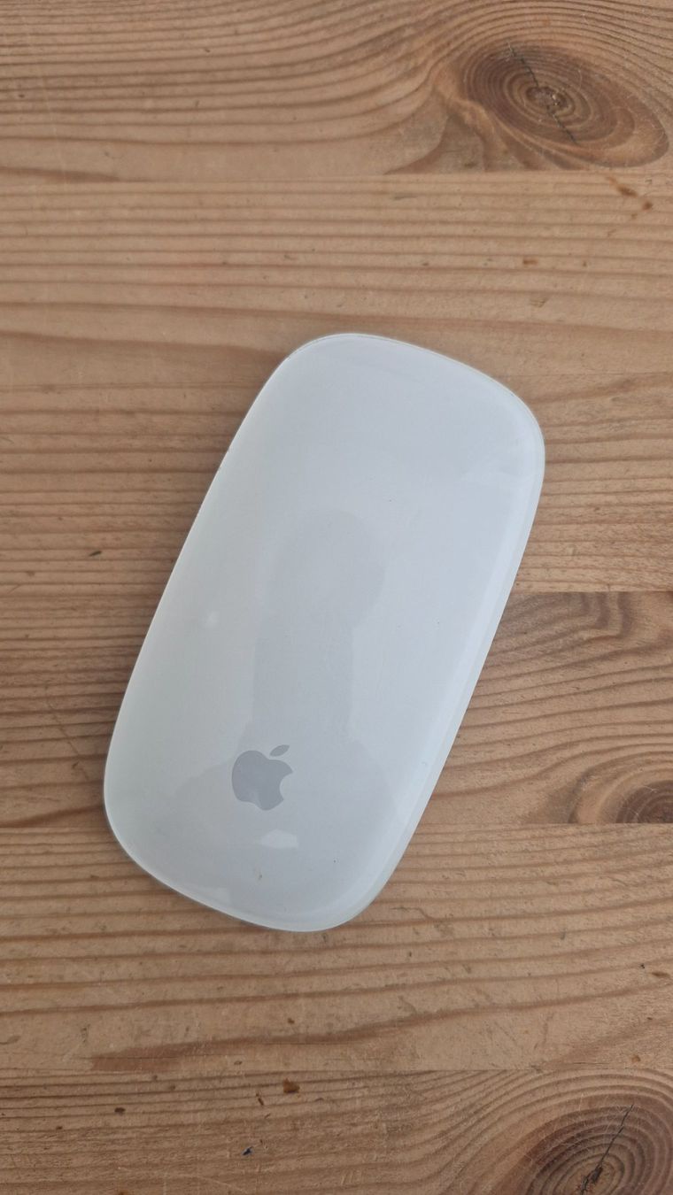 Apple Mouse: APPLE Magic Mouse Model A1296 inkl. 2 AA-Batterien – Usato da Muttenz venduto da Marti77_bs 1