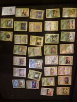 Pokemon - Dschungel grosse Sammlung