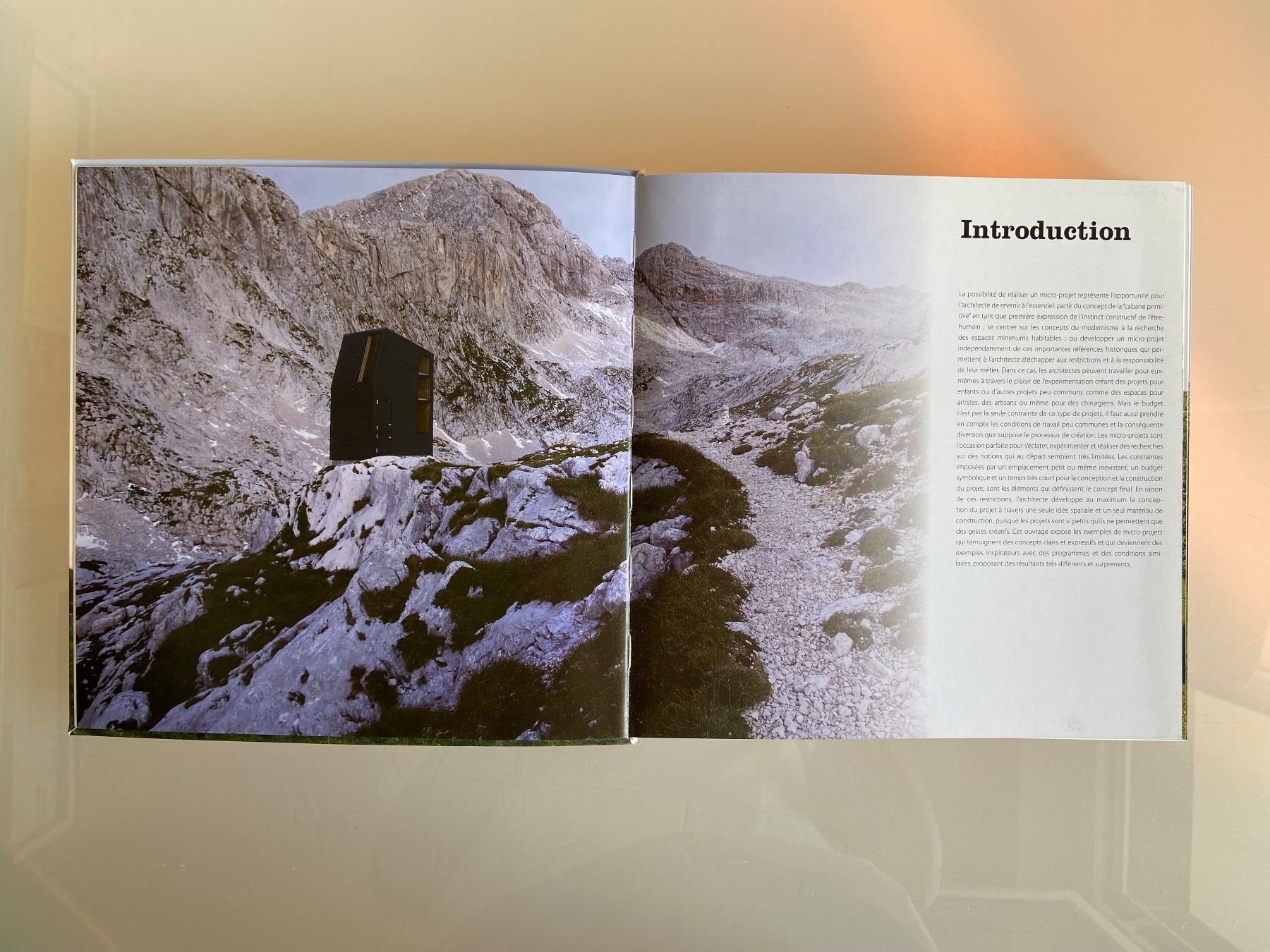 Libri: Livre "Projets de petite échelle Micro-architecture" – Usato da Lausanne venduto da maintenant 2