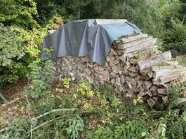 Brennholz Mischholz gespalten Gemischt 2/3 Buche 1/3 Tanne