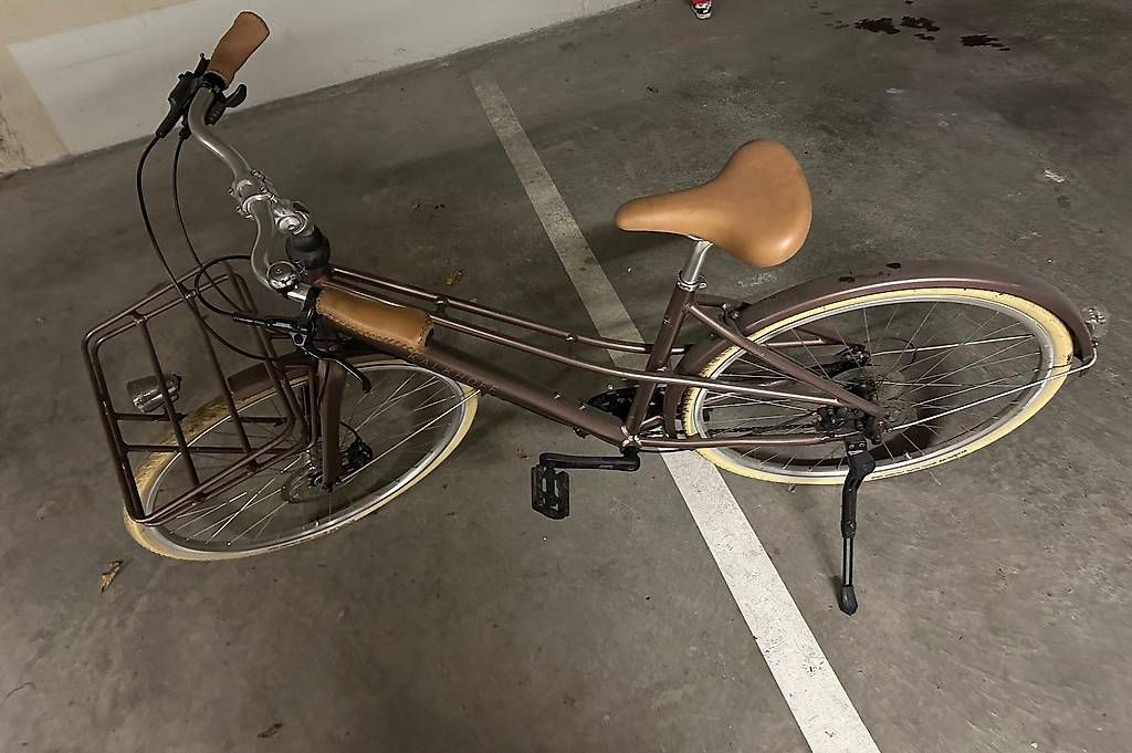 Biciclette: Vélo Kalkhoff carry scent 2019 – Usato da Bellevue venduto da SophieGV 1