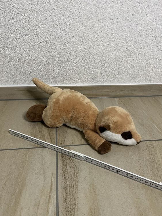 Süsses NICI Erdmännchen Kuscheltier, (Neu (gemäss Beschreibung)) in ...