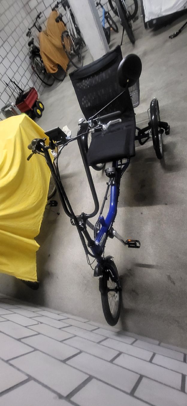 Biciclette: Dreirad mit Elektrounterstützung Motor 36V, 250W DC – Usato da Biberist venduto da lauraelias 1