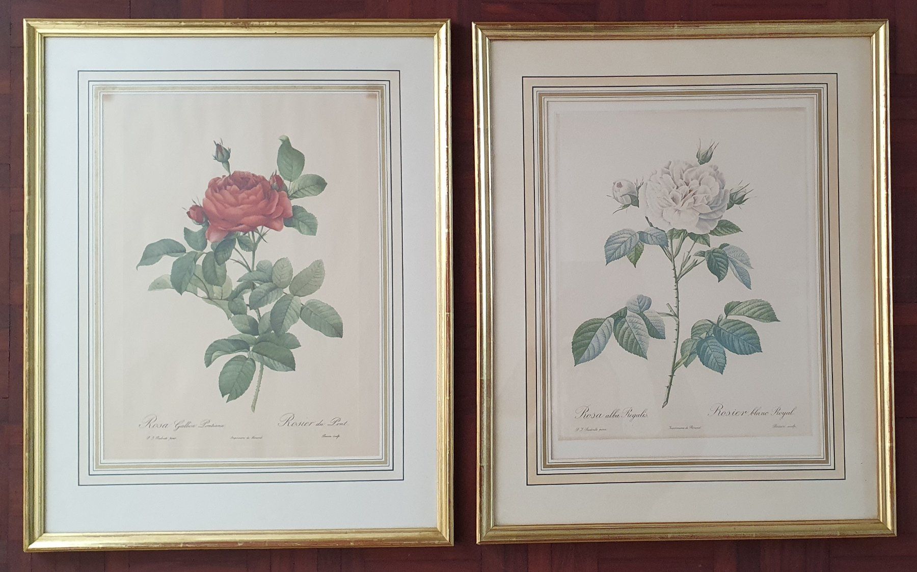 Poster & Bilder: 2 grosse Rosen Bilder im Goldrahmen – Gebraucht aus Kreuzlingen von Rschweiz1
