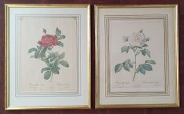 2 grosse Rosen Bilder im Goldrahmen