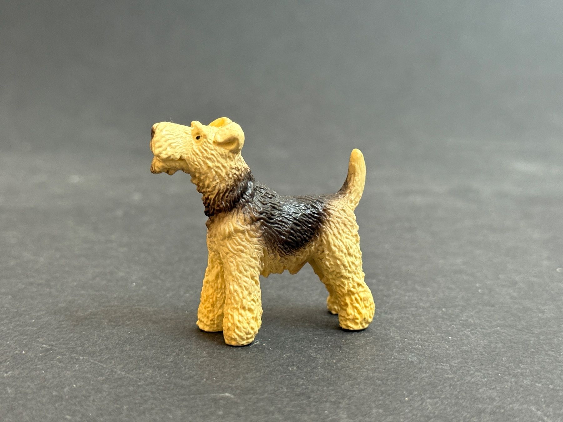 Schleich Statuette: Schleich 16338 Foxterrier Hund Terrier – Usato da Ennetbaden venduto da mapa05 5