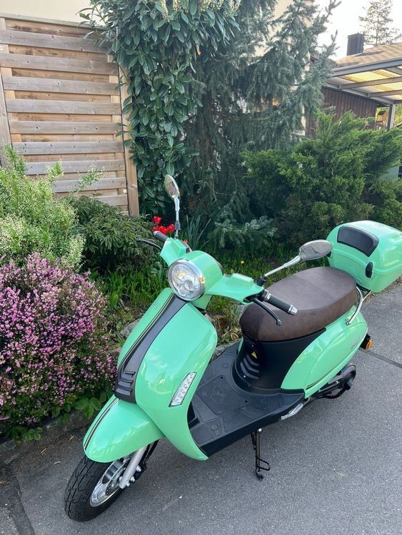 SPC Scooters: SPC Verdi E-Roller 45 km/h, nur 186 km – Gebraucht aus Aesch BL von EasyPeasy_AeschBL 1