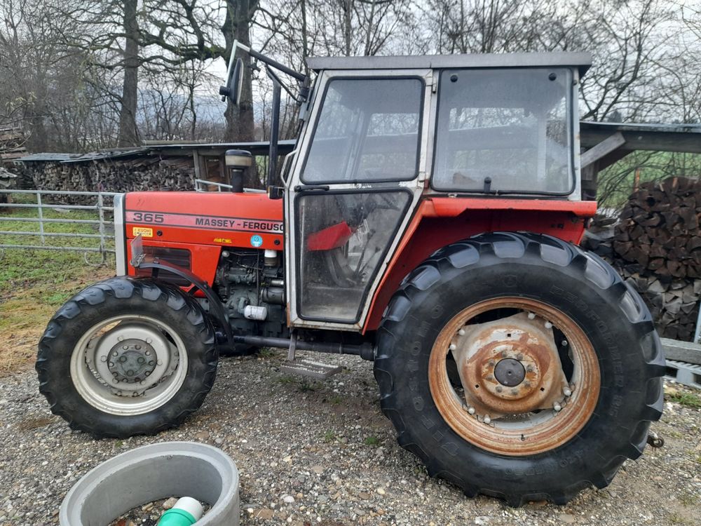 Traktor MF 365 (Gebraucht) in Gunzgen für CHF 8500 – nur Abholung auf ...