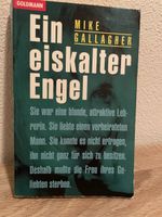 Mike Gallagher Thriller „Ein einskalter Engel“