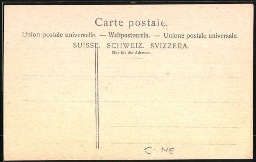 Cartoline postali: Neuchâtel, Jardin Desor, vers 1920 – Usato da Frauenfeld venduto da POML 1