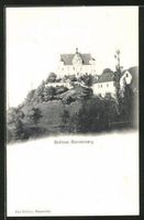 Schloss Sonnenberg, Phototypie um 1900