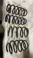 Federn Original Seat Leon R310