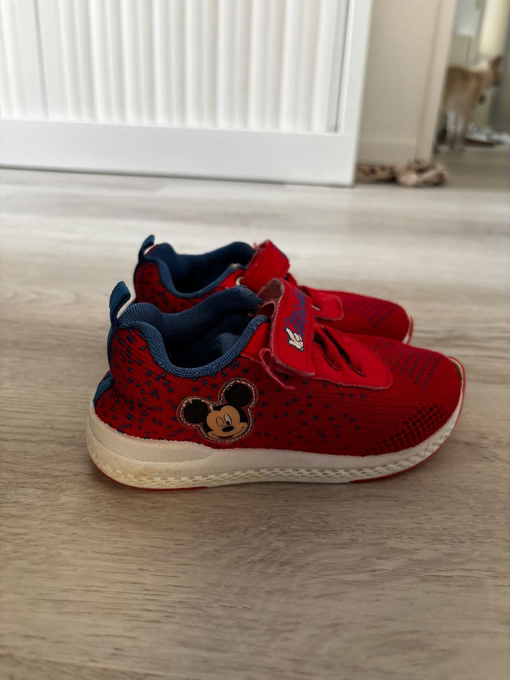 Scarpe per ragazzi: Kindersneaker Gr. 24.  – Usato da Hochfelden venduto da rub_rnw5 3