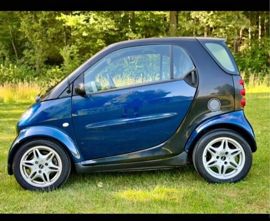 Smart Automobili: Frisch ab Mfk – Usato da Kriens venduto da bel_f7c8 2